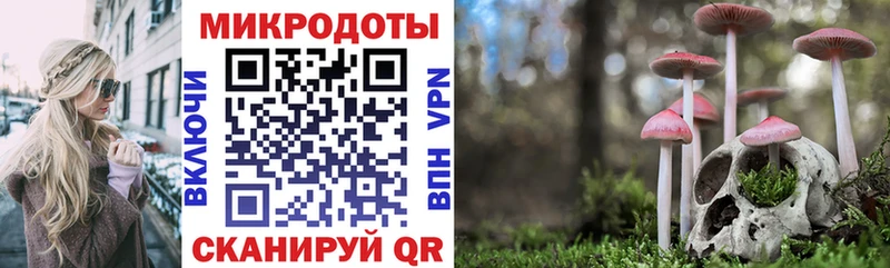 Псилоцибиновые грибы Cubensis  купить закладку  hydra ONION  Духовщина 
